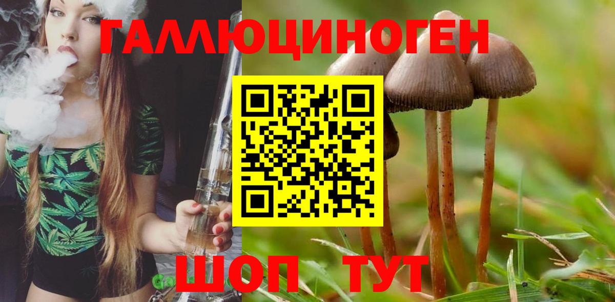 Псилоцибиновые грибы MAGIC MUSHROOMS  Галлюциногенные грибы мицелий  Вход с VPN  Семилуки 