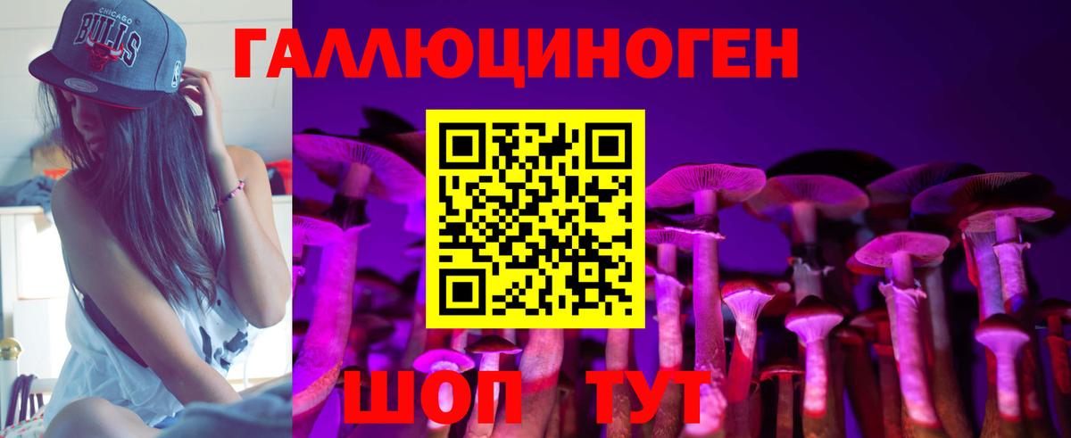 Псилоцибиновые грибы Psilocybe Семилуки